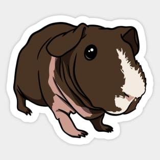 Loghan The Ark Piggie Sticker